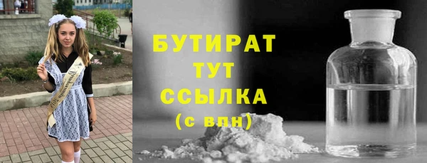 индика Костерёво