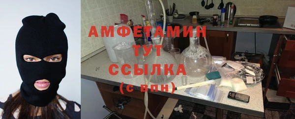 индика Костерёво