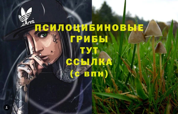каннабис Корсаков