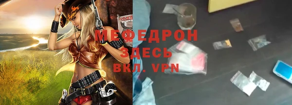 индика Костерёво