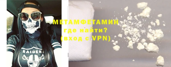 индика Костерёво