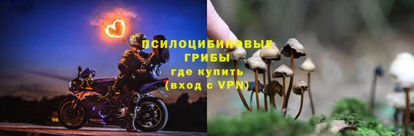 спиды Коряжма