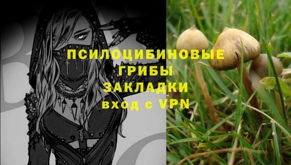 бутират Краснослободск