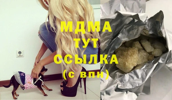 индика Костерёво
