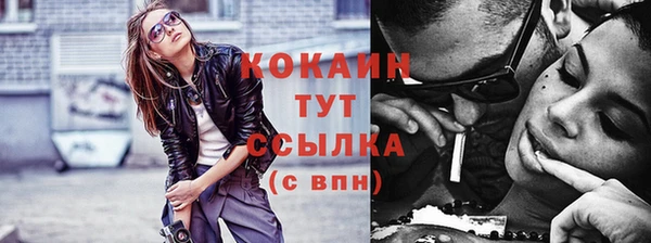 индика Костерёво