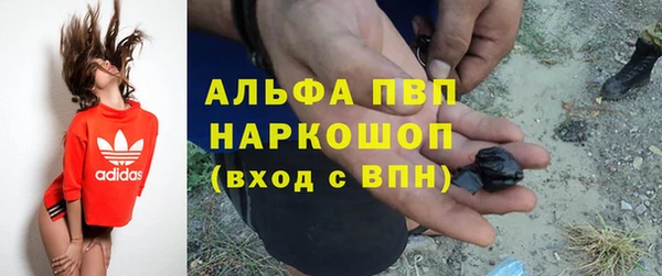 каннабис Корсаков