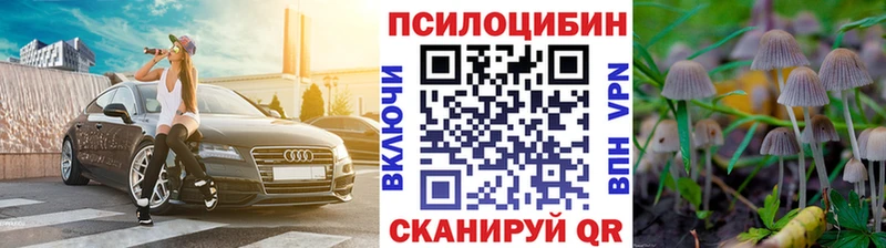 купить наркотик  ссылка на мегу   Псилоцибиновые грибы Psilocybe  Пермь 